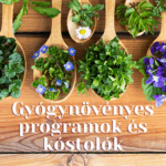 Gyógynövényes Programok és Kóstolók