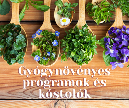 Gyógynövényes Programok és Kóstolók