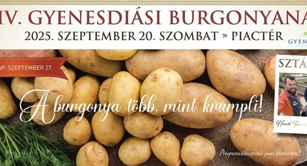Gyenesdiási Burgonyanap