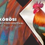 XVI. Kiskőrösi Kakaspörkölt Főző Fesztivál