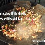 Tárcsás Ételek Fesztiválja Bogács – Ízek, barátság és tárcsás hagyomány Tárcsás Ételek Fesztiválja Bogács