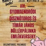 Gyomaendrődi Disznótoros és Böllérpálinka Verseny