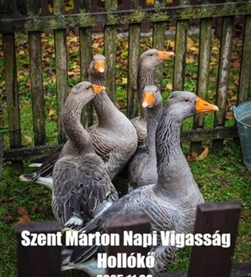 Szent Márton Napi Vígasság Hollókő
