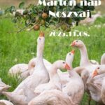 Márton-nap Noszvaj