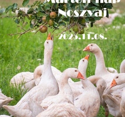 Márton-nap Noszvajon – Libalakoma és boros jókedv a Bükk lábánál Márton-nap Noszvaj