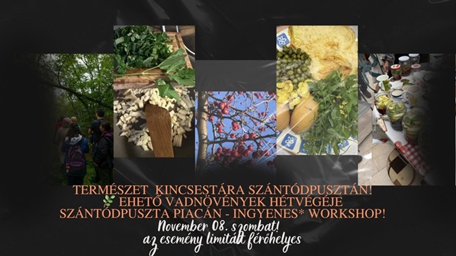 A természet Kincsestára Szántódpuszta