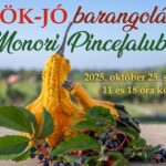 Tök Jó Barangolás a Monori Pincefaluban – Bor és kulináris élmények Tök Jó Barangolás a Monori Pincefaluban