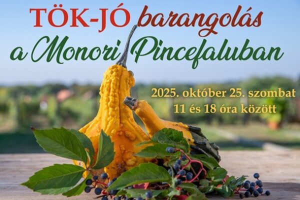Tök Jó Barangolás a Monori Pincefaluban – Bor és kulináris élmények Tök Jó Barangolás a Monori Pincefaluban