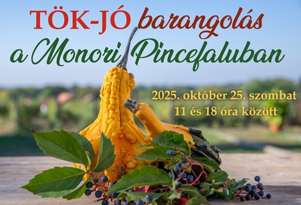 Tök Jó Barangolás a Monori Pincefaluban