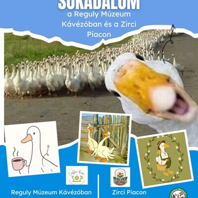 Márton napi sokadalom Zirc